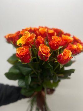 Троянда ЕСПАНА 237 фото