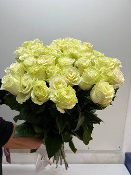 Троянда Мондіаль 238 фото