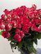 Троянда Олл Стар українська 239 фото 3