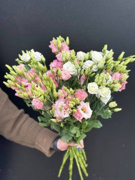 Еустома  3343 фото