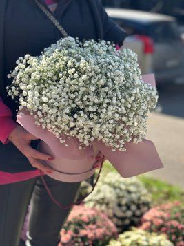 Флавер бокс біла гіпсофіла 8765 фото