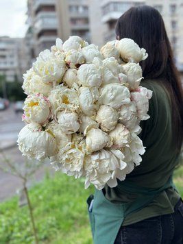 Букет з білих півоній, 35шт buket-z-bilykh-pivonii-35sht фото
