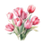 Тюльпани