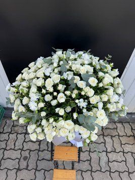 Тубус з білої кущової троянди 56465 фото