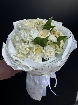 Біла Гортензія 291 фото